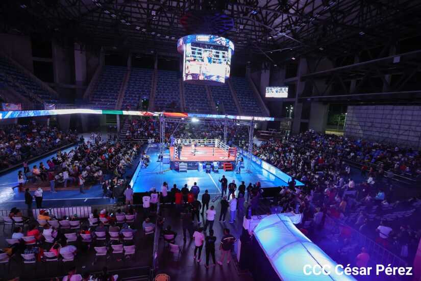 boxeo